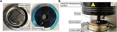 Quantifying the Influence of Out-Time on Prepreg Material Properties and Out-Of-Plane Steering Defects During Automated Fiber Placement